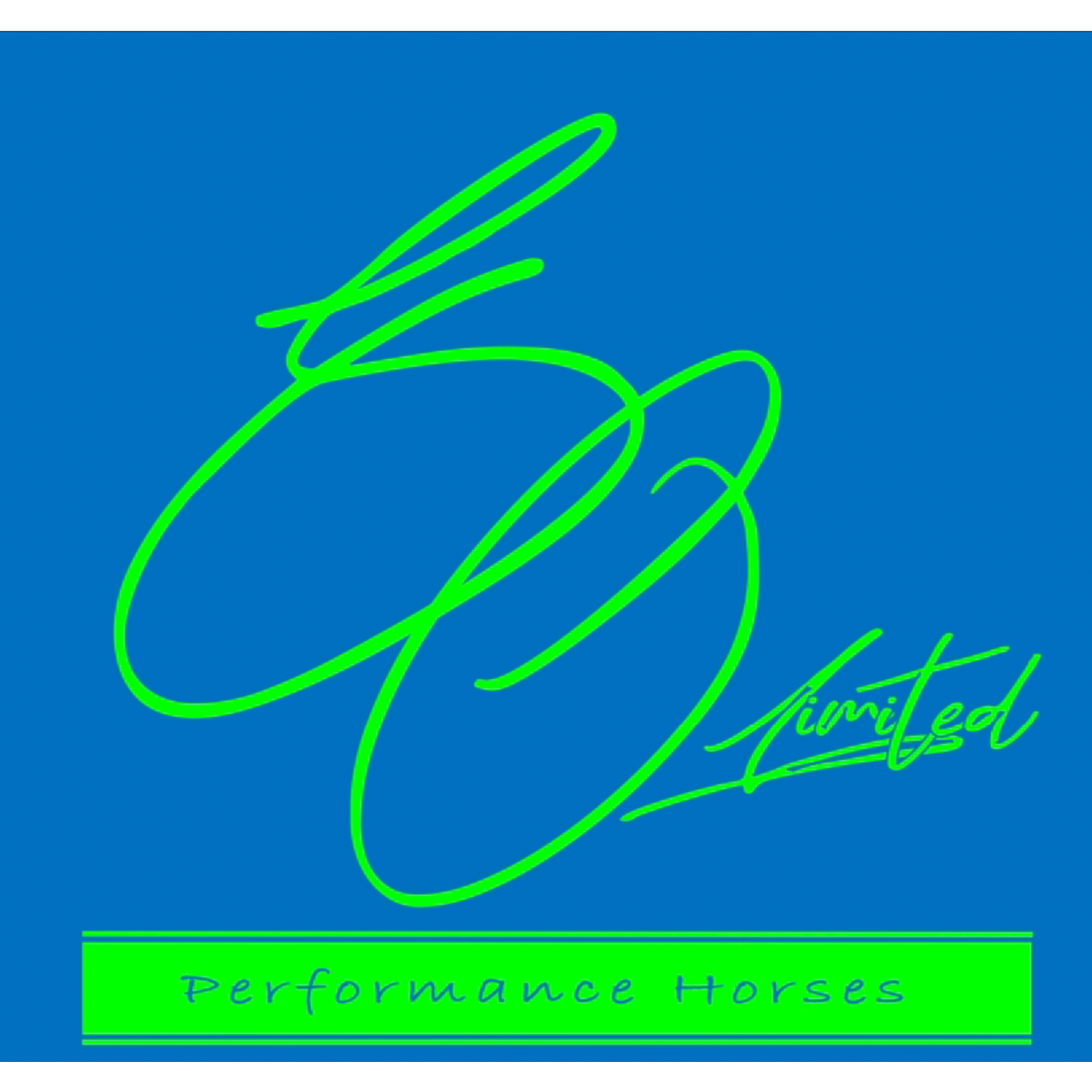 Silver Oak Performance Horses