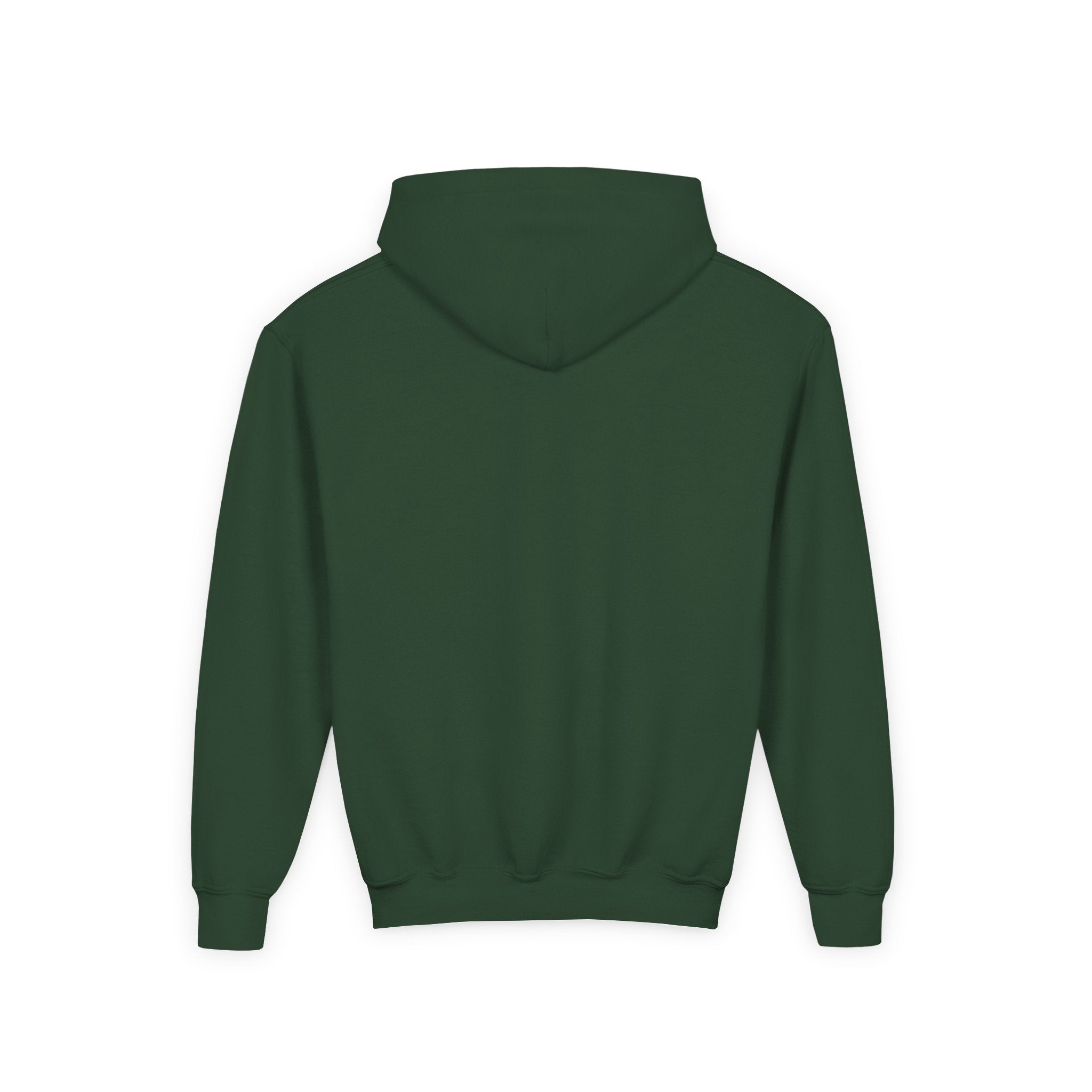 McCarthy Warda Performance Horses Youth Hoodie