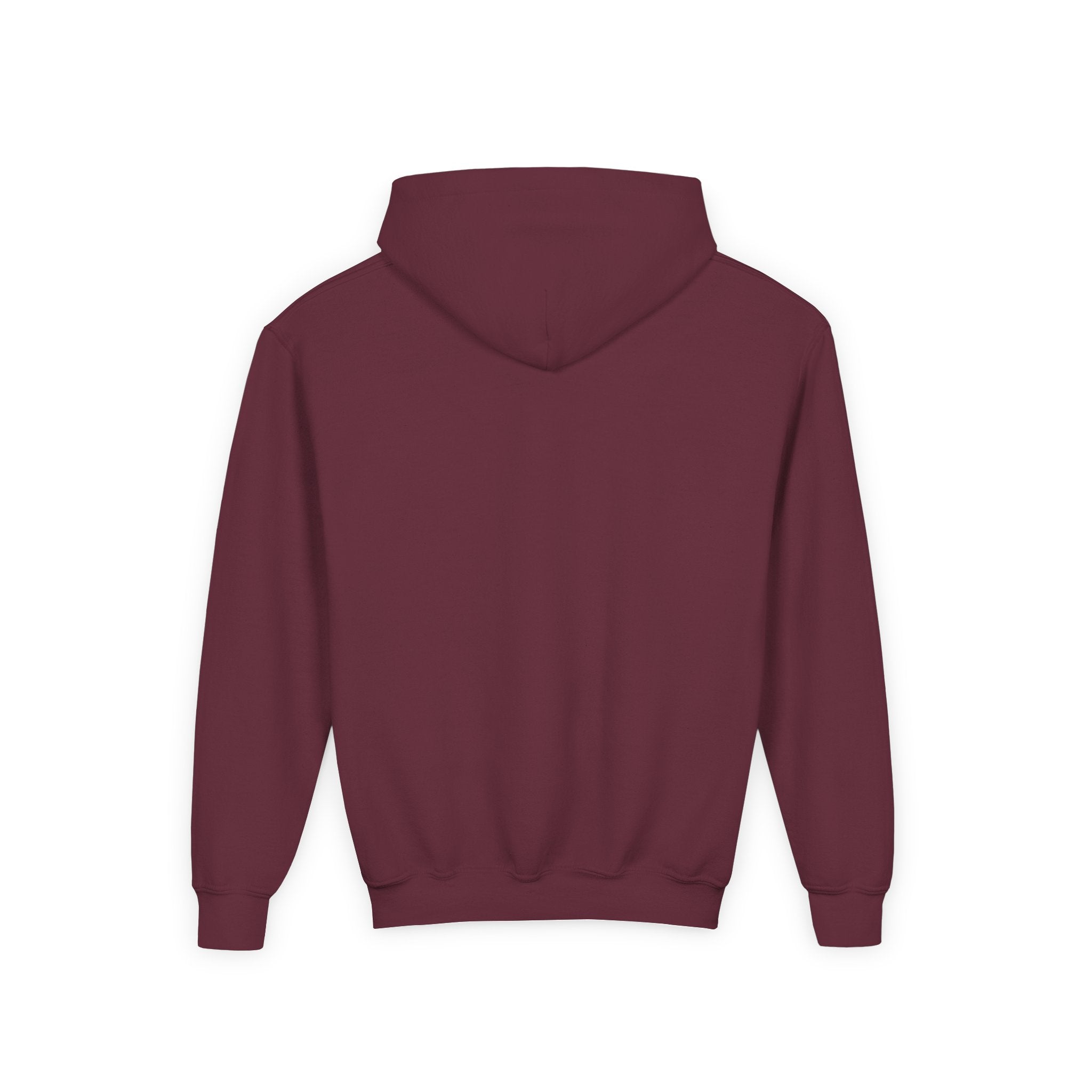 PPH Youth Heavy Blend Hooded Sweatshirt